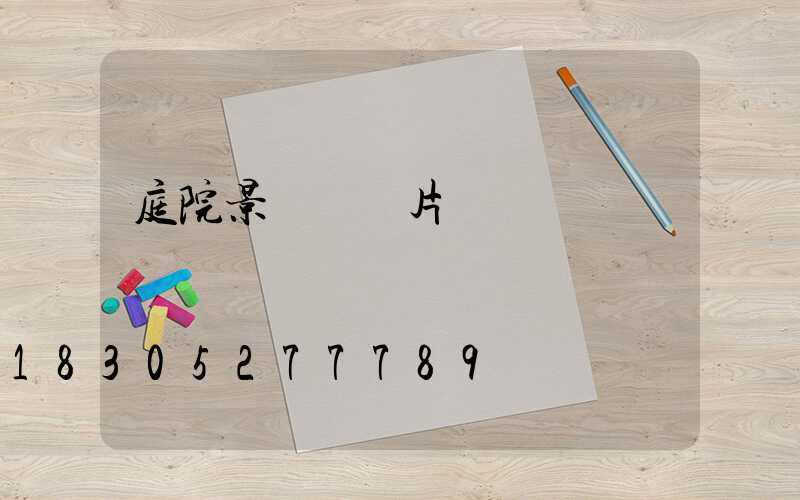 庭院景觀墻圖片