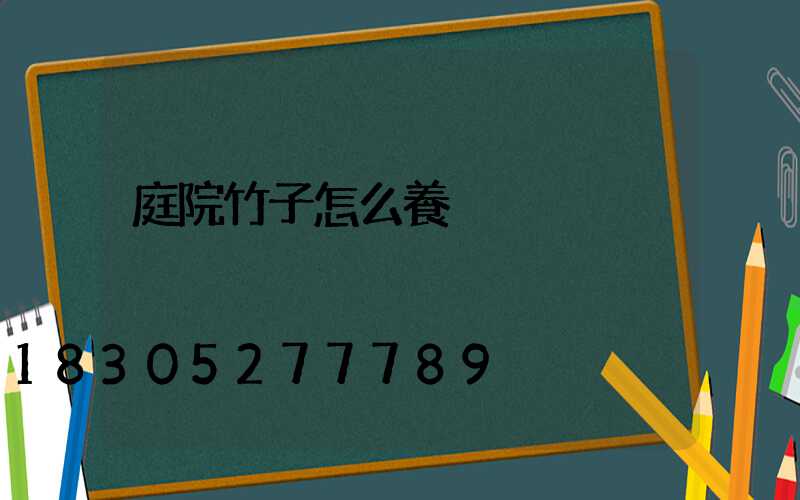 庭院竹子怎么養