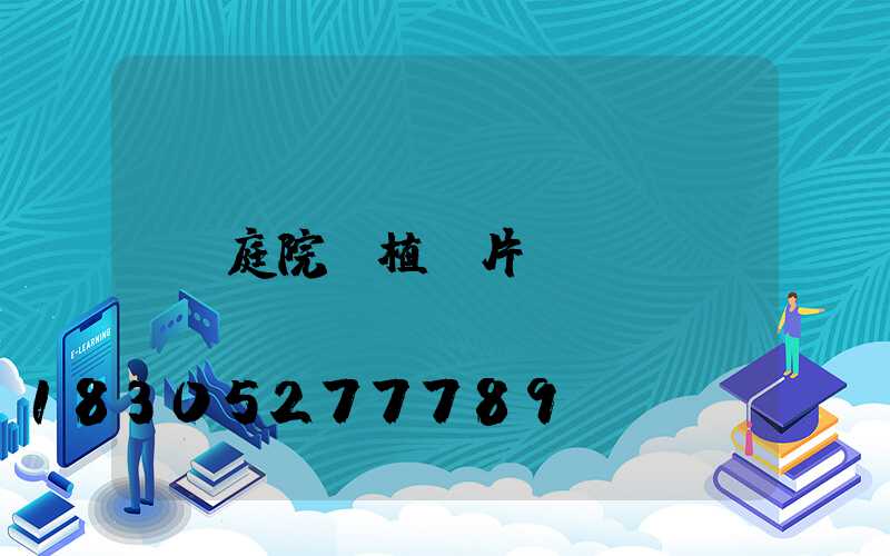 庭院綠植圖片