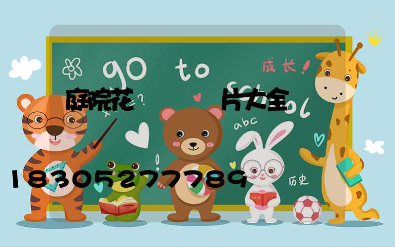 庭院花壇設計圖片大全
