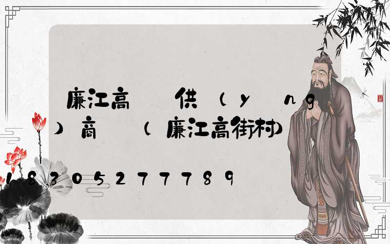 廉江高桿燈供應(yīng)商電話(廉江高街村)