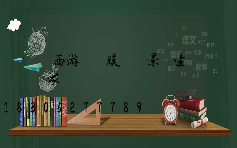 廣西游樂園膜結構景觀生產廠家