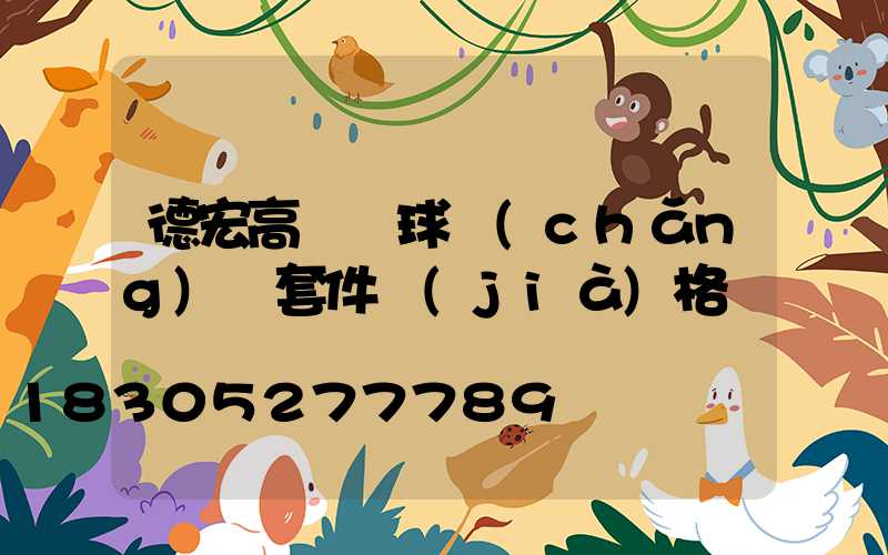德宏高桿燈球場(chǎng)燈套件價(jià)格