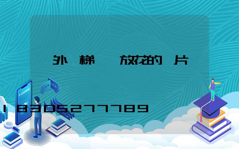 戶外樓梯臺階放花的圖片