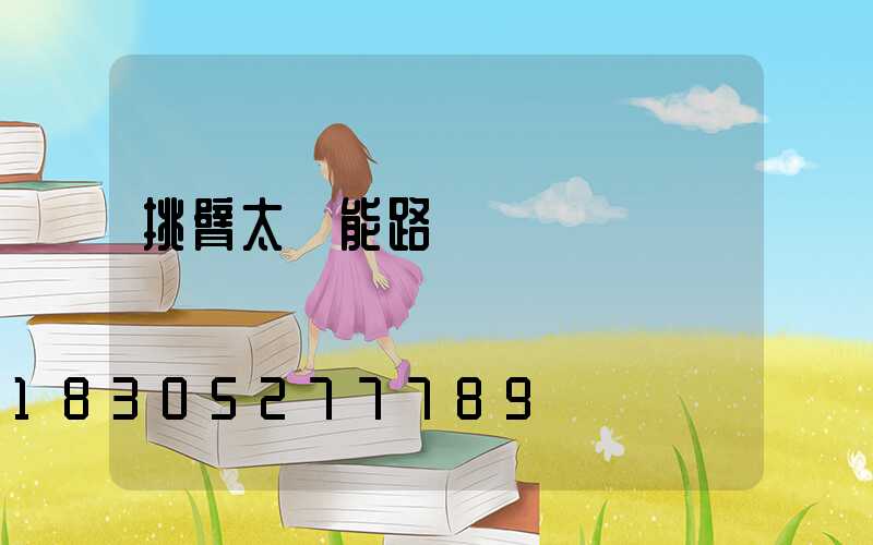 挑臂太陽能路燈