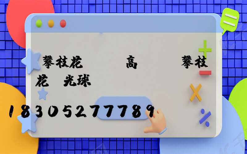 攀枝花運動場高桿燈(攀枝花燈光球場)