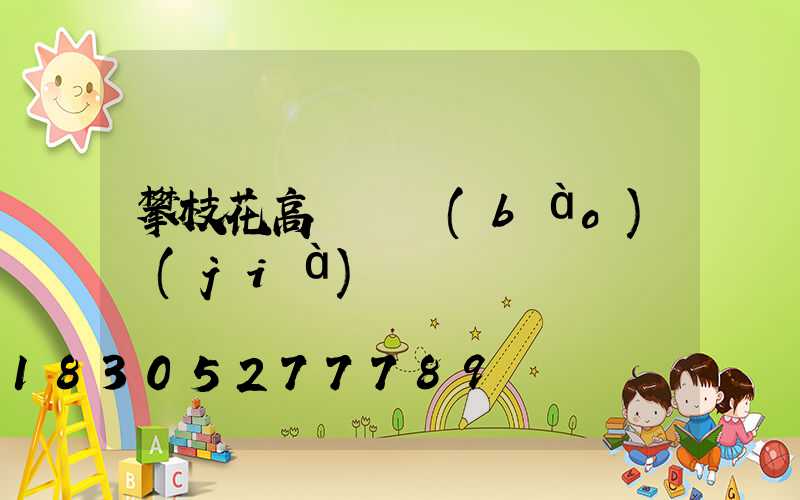 攀枝花高桿燈報(bào)價(jià)單