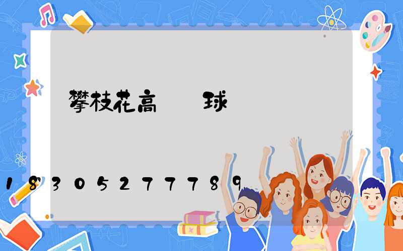攀枝花高桿燈球場燈