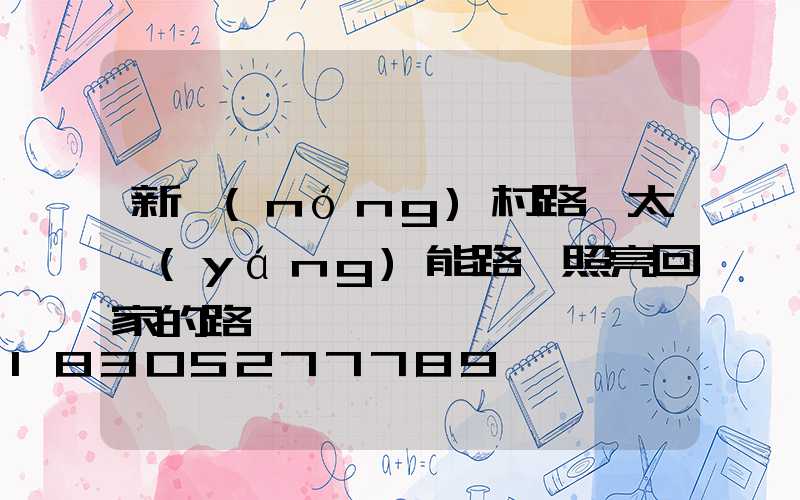 新農(nóng)村路燈太陽(yáng)能路燈照亮回家的路