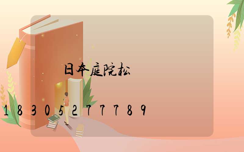 日本庭院松樹