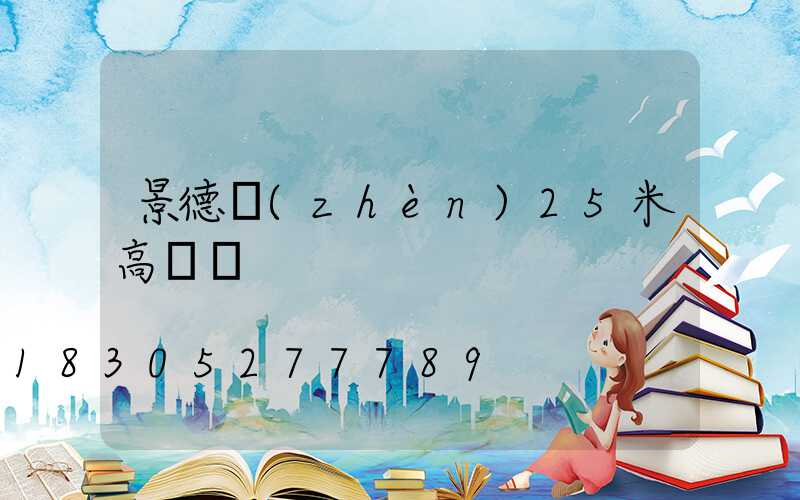 景德鎮(zhèn)25米高桿燈