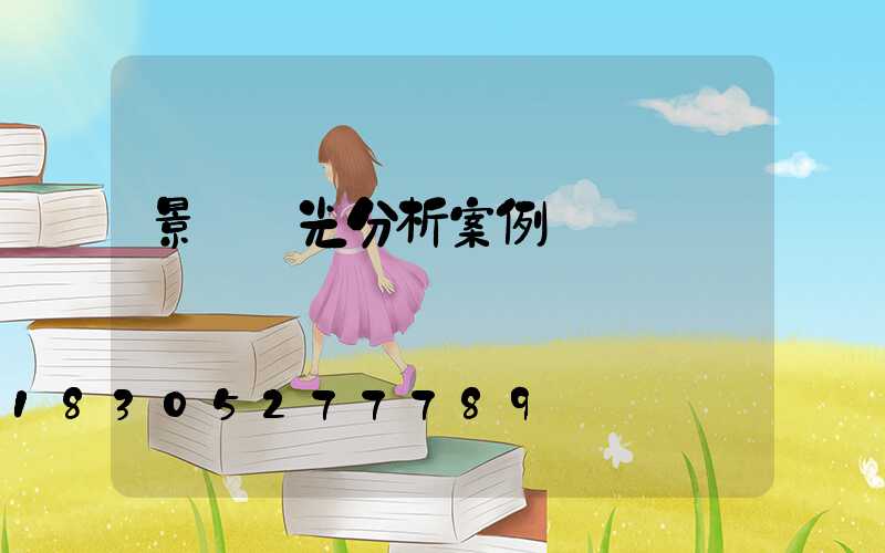景觀燈光分析案例