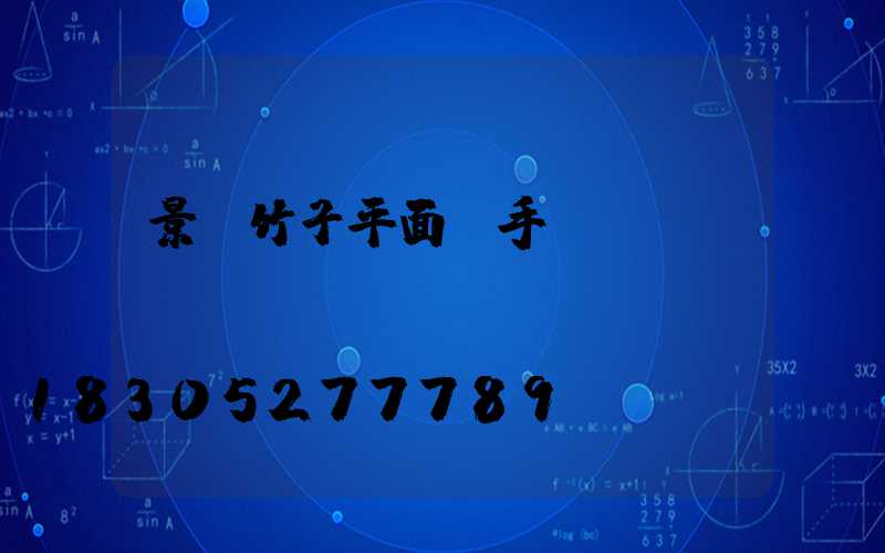 景觀竹子平面圖手繪