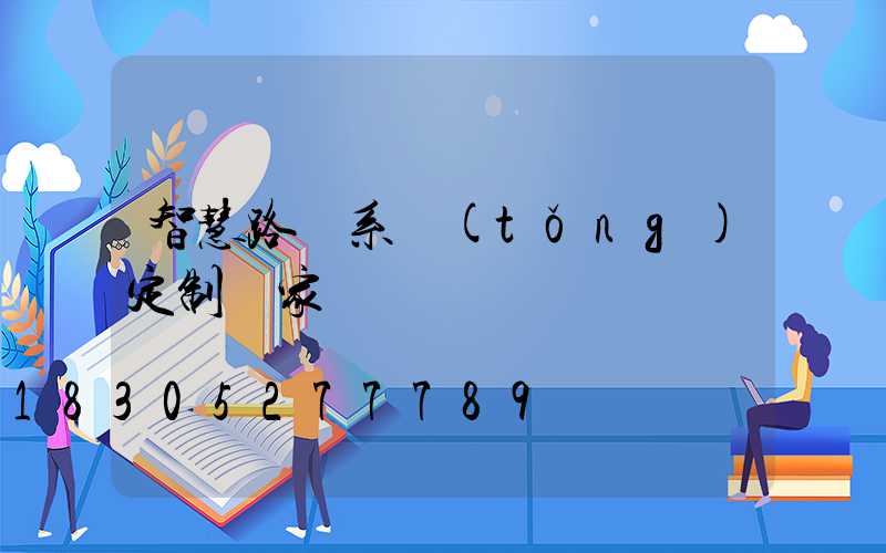 智慧路燈系統(tǒng)定制廠家