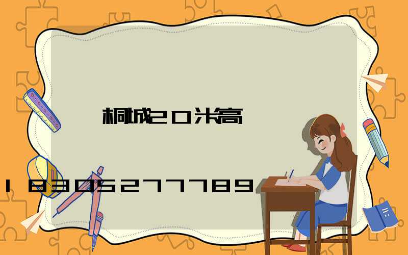 桐城20米高桿燈