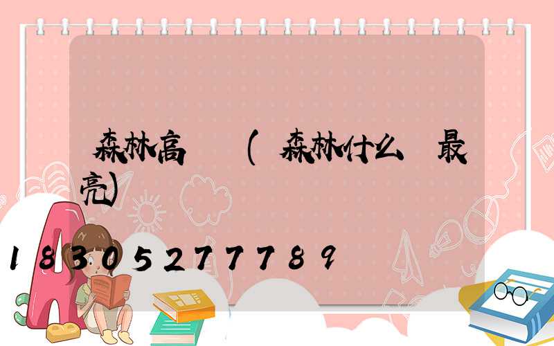 森林高桿燈(森林什么燈最亮)
