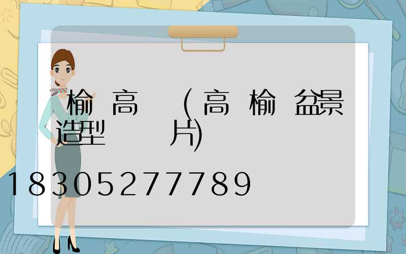 榆樹高桿燈(高桿榆樹盆景造型設計圖片)