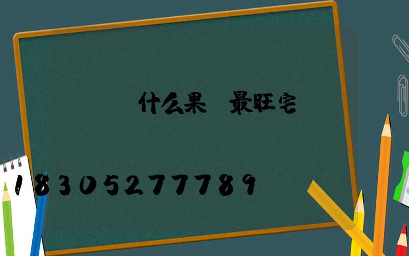 樓頂種什么果樹最旺宅