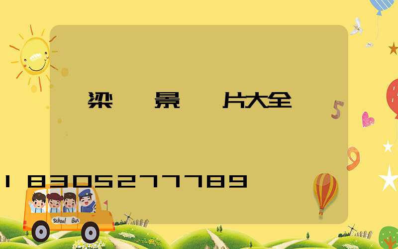 橋梁欄桿景觀圖片大全