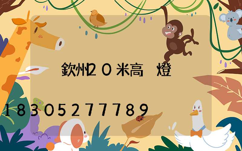 欽州20米高桿燈