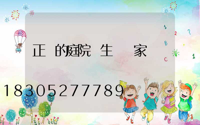 正規的庭院燈生產廠家