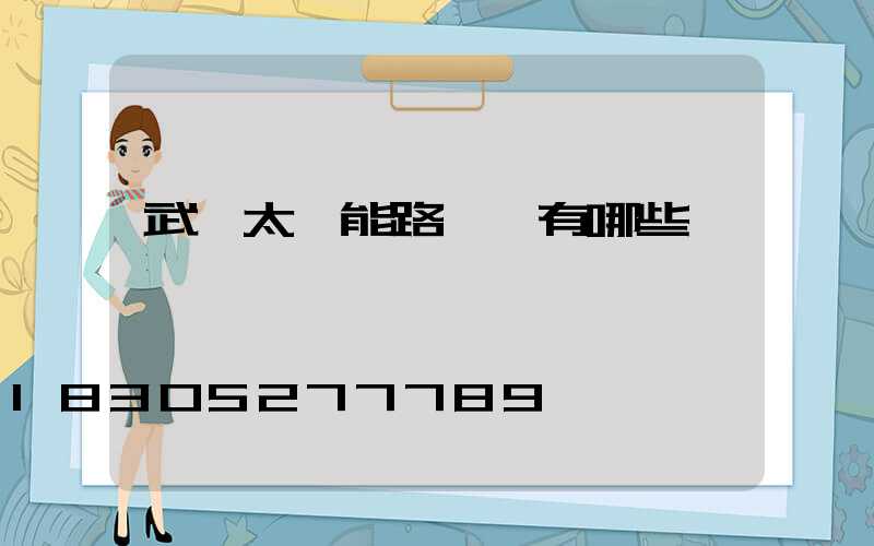 武漢太陽能路燈廠有哪些