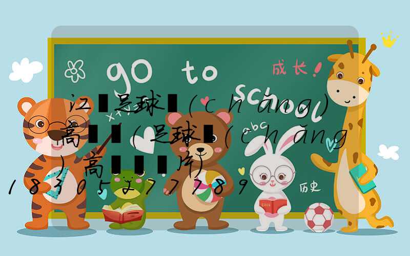 江門足球場(chǎng)高桿燈(足球場(chǎng)高桿燈圖片)