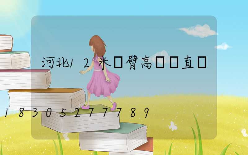 河北12米雙臂高桿燈直銷