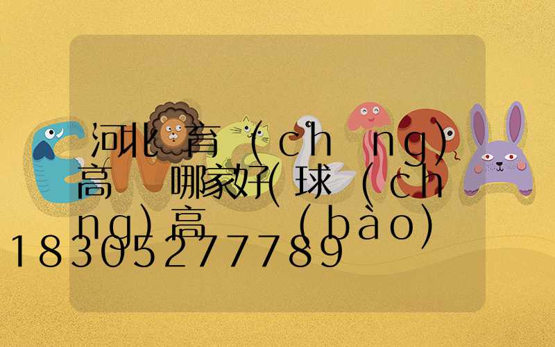 河北體育場(chǎng)高桿燈哪家好(球場(chǎng)高桿燈報(bào)價(jià))