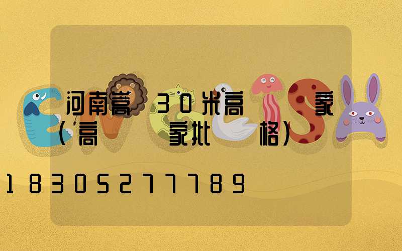 河南嵩縣30米高桿燈廠家(高桿燈廠家批發價格)