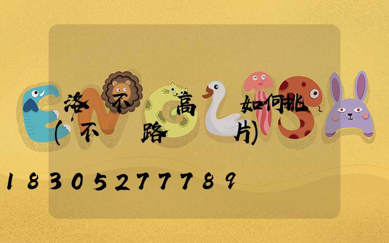 洛陽不銹鋼高桿燈如何挑選(不銹鋼路燈桿圖片)
