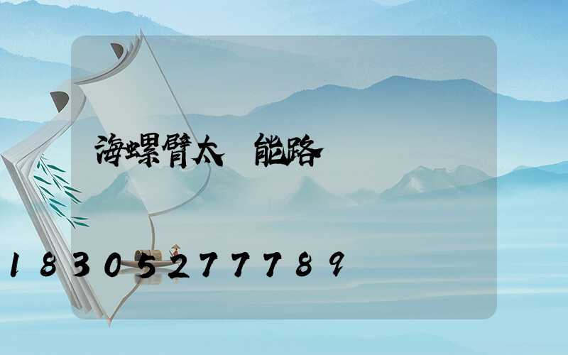 海螺臂太陽能路燈