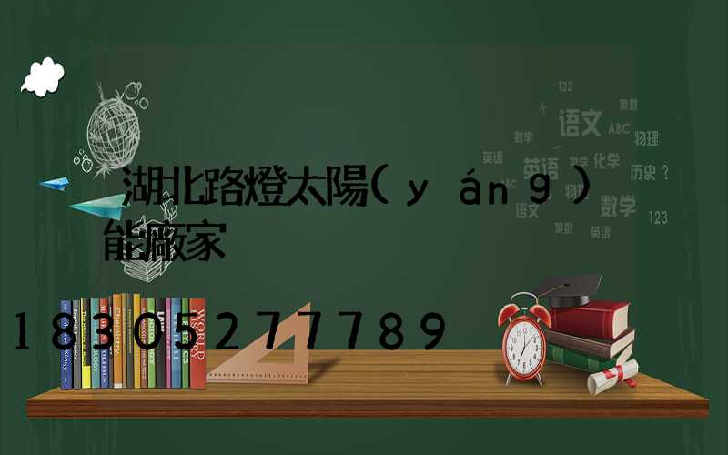 湖北路燈太陽(yáng)能廠家