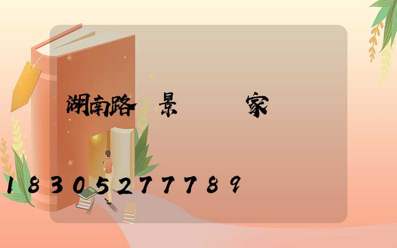 湖南路燈景觀燈廠家