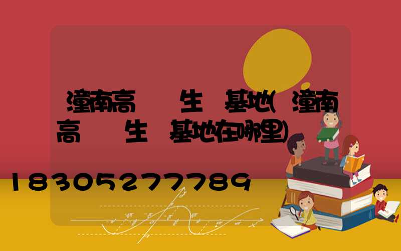 潼南高桿燈生產基地(潼南高桿燈生產基地在哪里)