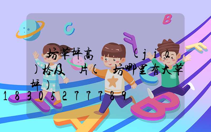 濰坊草坪高桿燈價(jià)格及圖片(濰坊哪里有大草坪)