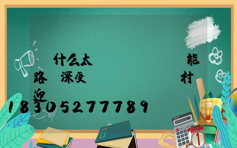 為什么太陽(yáng)能路燈深受農(nóng)村歡迎
