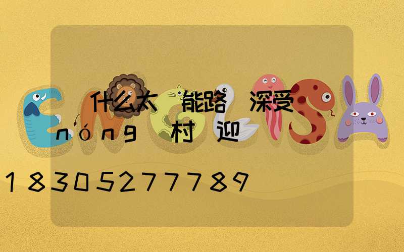 為什么太陽能路燈深受農(nóng)村歡迎