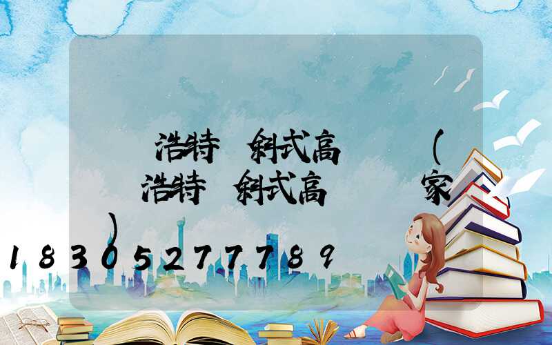 烏蘭浩特傾斜式高桿燈廠(烏蘭浩特傾斜式高桿燈廠家電話)