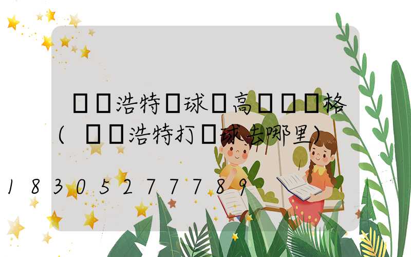 烏蘭浩特籃球場高桿燈價格(烏蘭浩特打籃球去哪里)