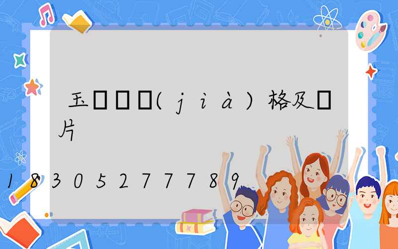 玉蘭燈價(jià)格及圖片