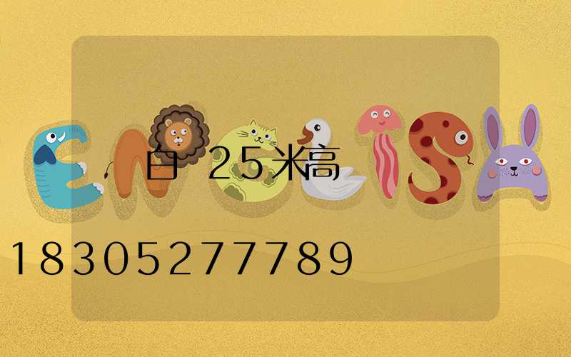 白銀25米高桿燈