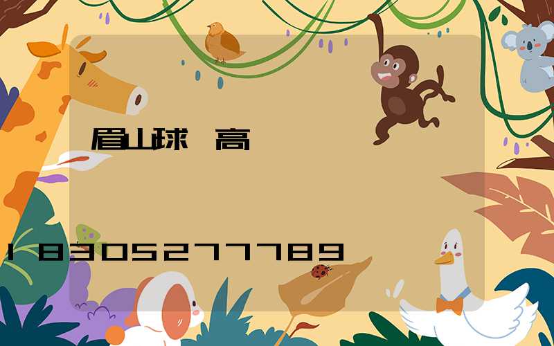 眉山球場高桿燈