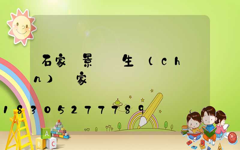 石家莊景觀燈生產(chǎn)廠家
