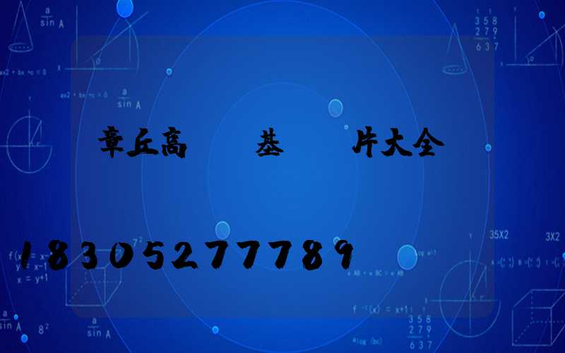 章丘高桿燈基礎圖片大全