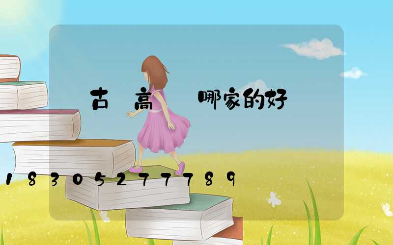 紅古區高桿燈哪家的好