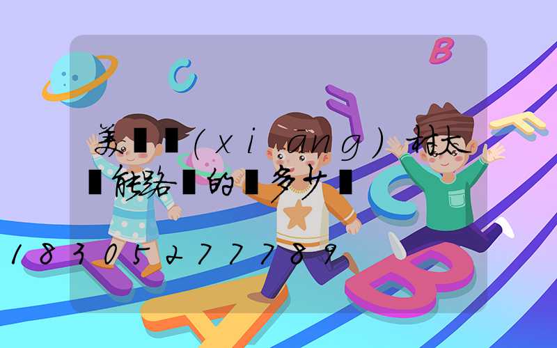 美麗鄉(xiāng)村太陽能路燈的燈多少錢