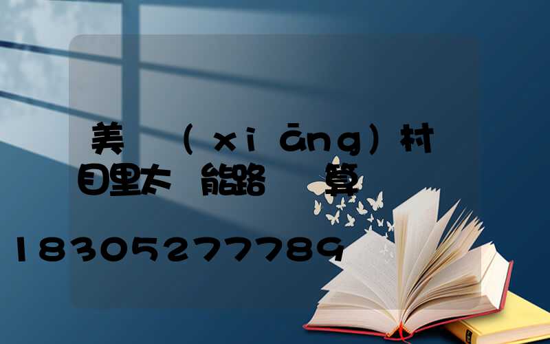 美麗鄉(xiāng)村項目里太陽能路燈預算