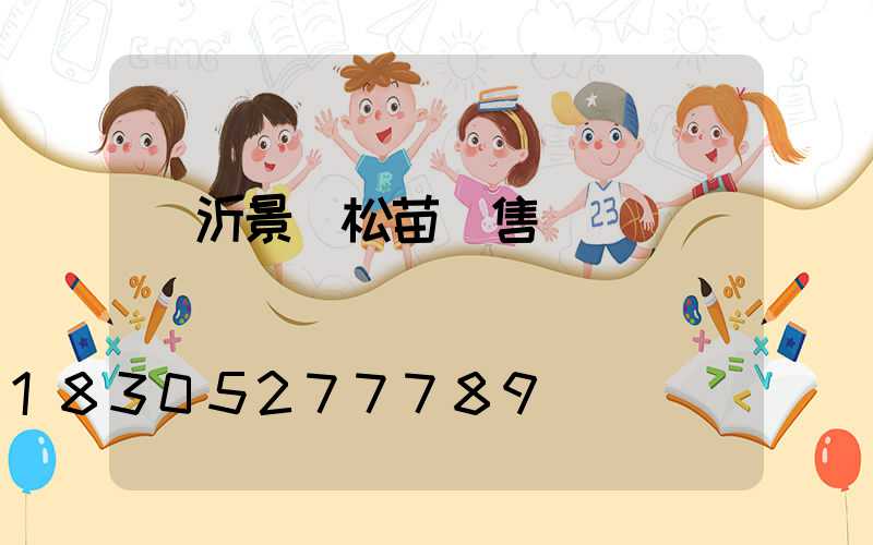 臨沂景觀松苗銷售