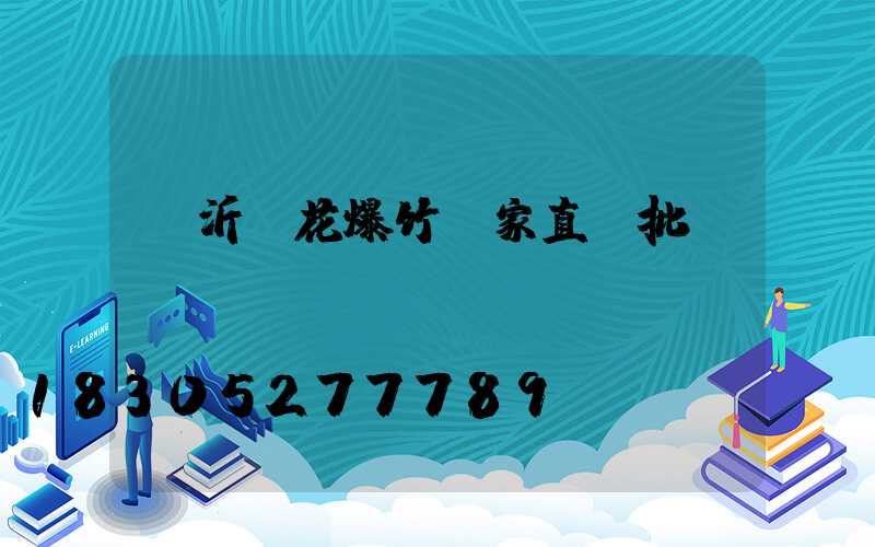 臨沂煙花爆竹廠家直銷批發
